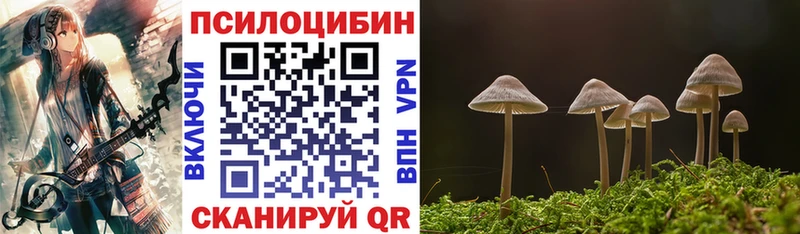 как найти наркотики  Миасс  Галлюциногенные грибы Magic Shrooms 